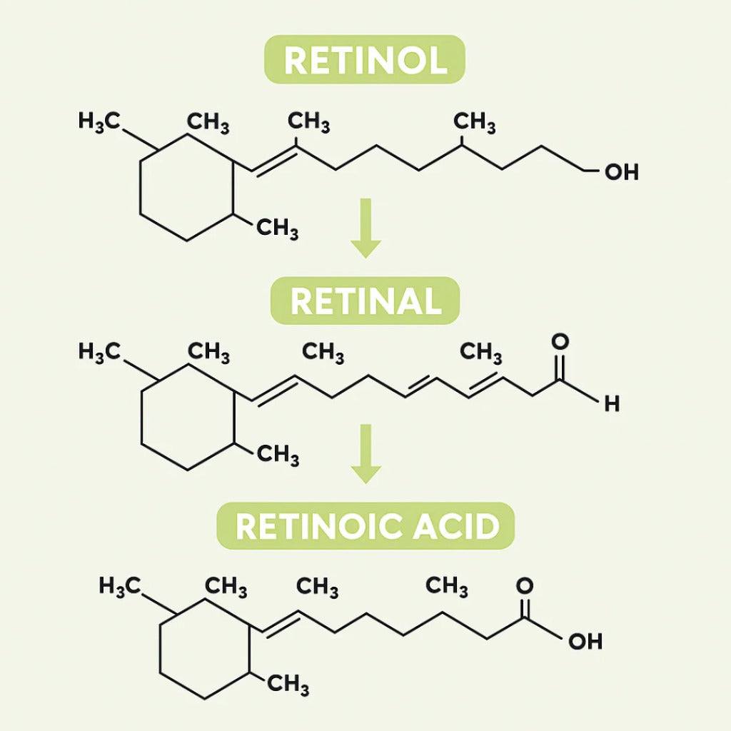 Clarivelle™ Det neste generasjons alternativet til retinol